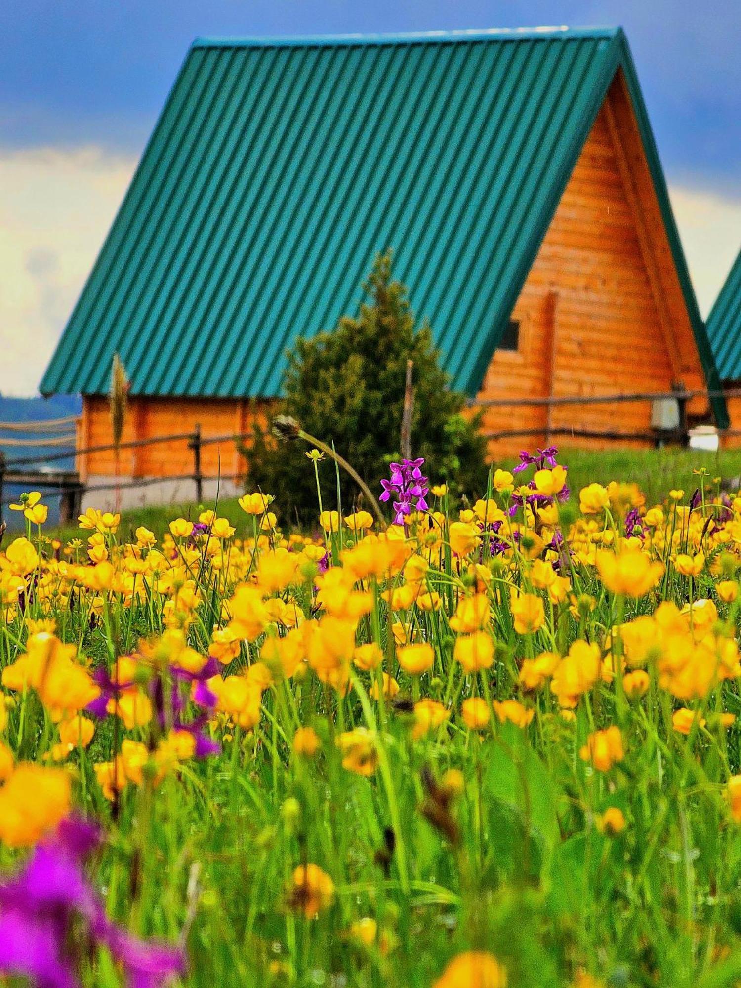 Ethno Village Molitva Druzinice 外观 照片